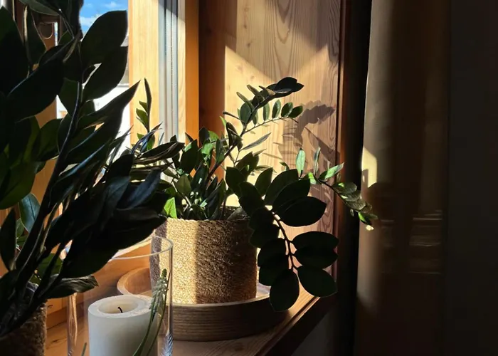 아파트호텔 Laurus 레흐암 아르베르크